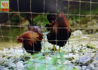 Διαφανής πλαστική αλιεία με δίχτυα πουλερικών, πλαστική αλιεία με δίχτυα πουλερικών, περίφραξη πλέγματος καλωδίων κοτόπουλου, δίκτυο κοτόπουλου της Ταϊλάνδης